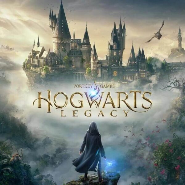 Купить Hogwarts Legacy: Dark Arts Pack steam ключ
